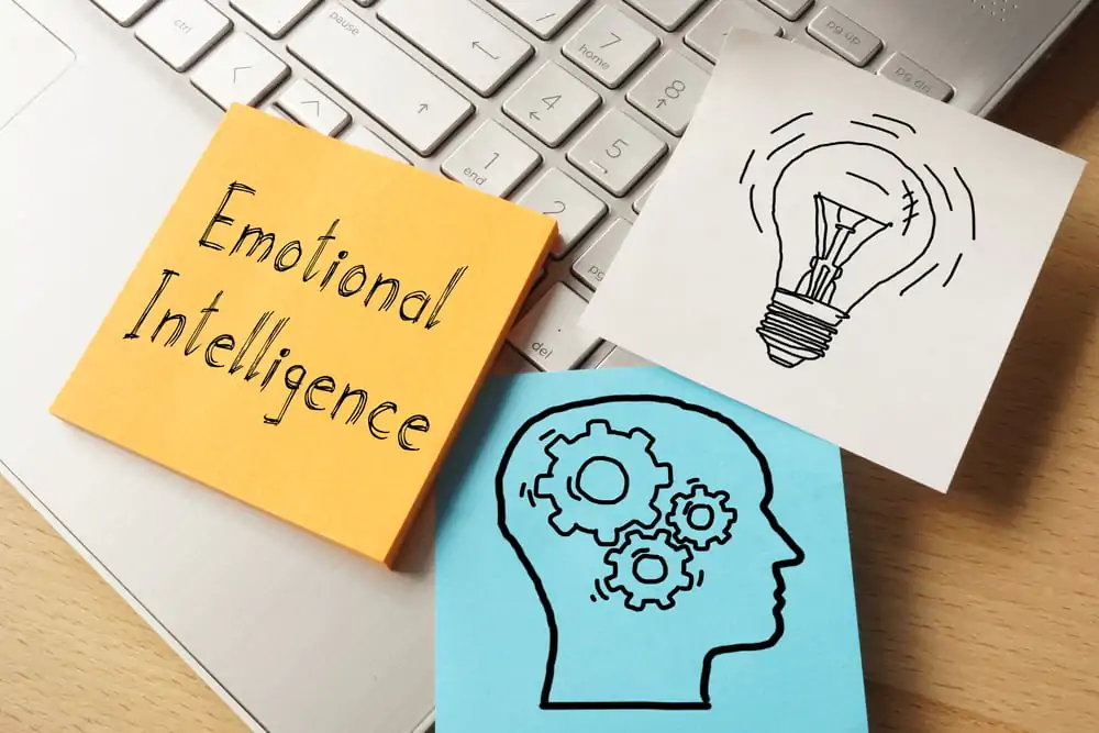 Inteligência emocional e liderança: como ser sábio sendo líder?